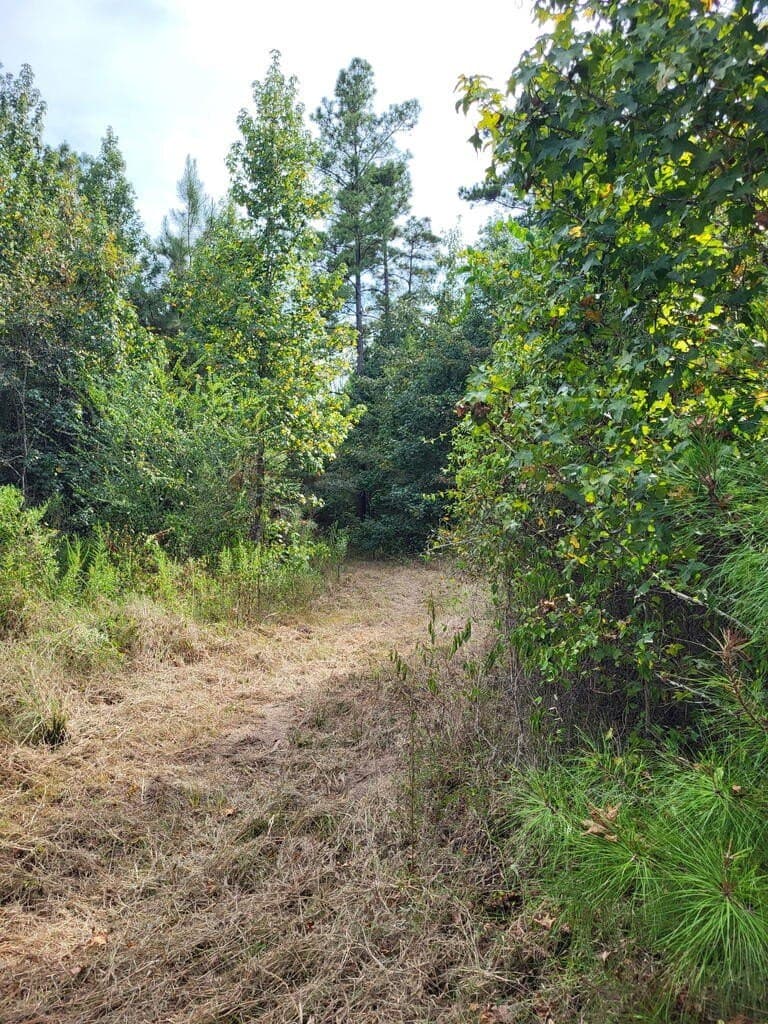 12 acres in Texas County - photo 21