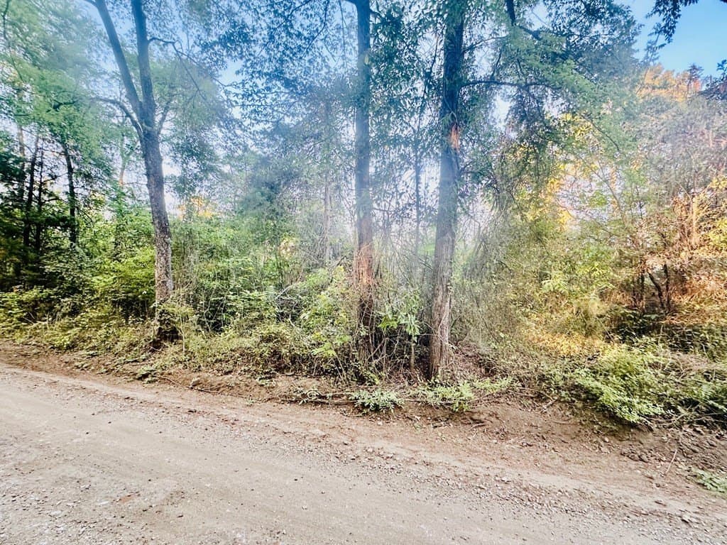 2 acres in Texas County gallery image 3