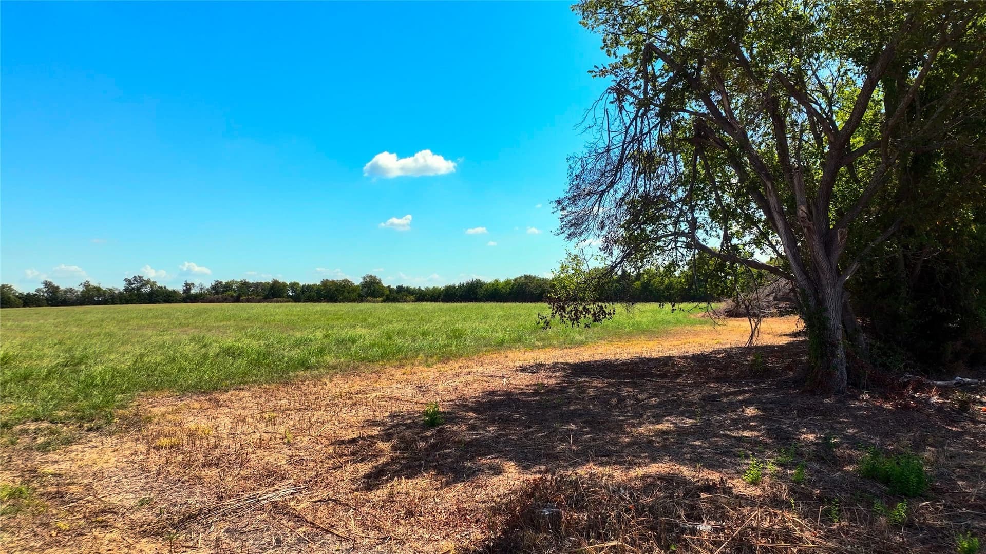 18.16 acres in Lamar County - photo 12