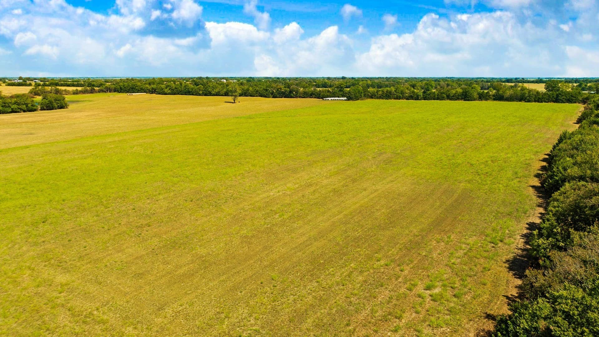 18.16 acres in Lamar County - photo 3