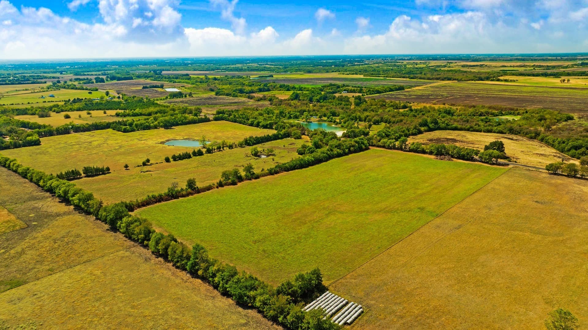 18.16 acres in Lamar County - photo 9