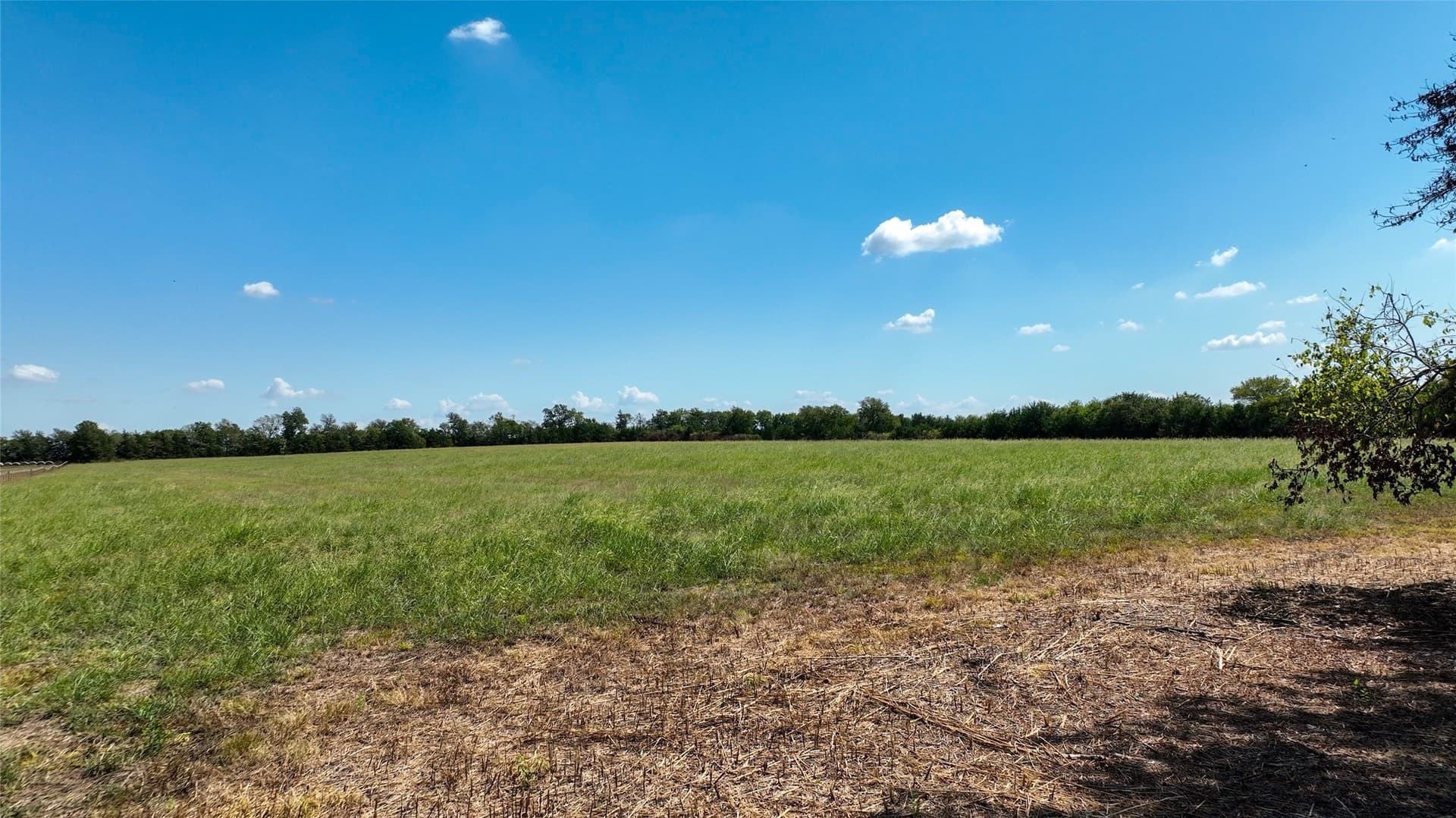 18.16 acres in Lamar County - photo 11