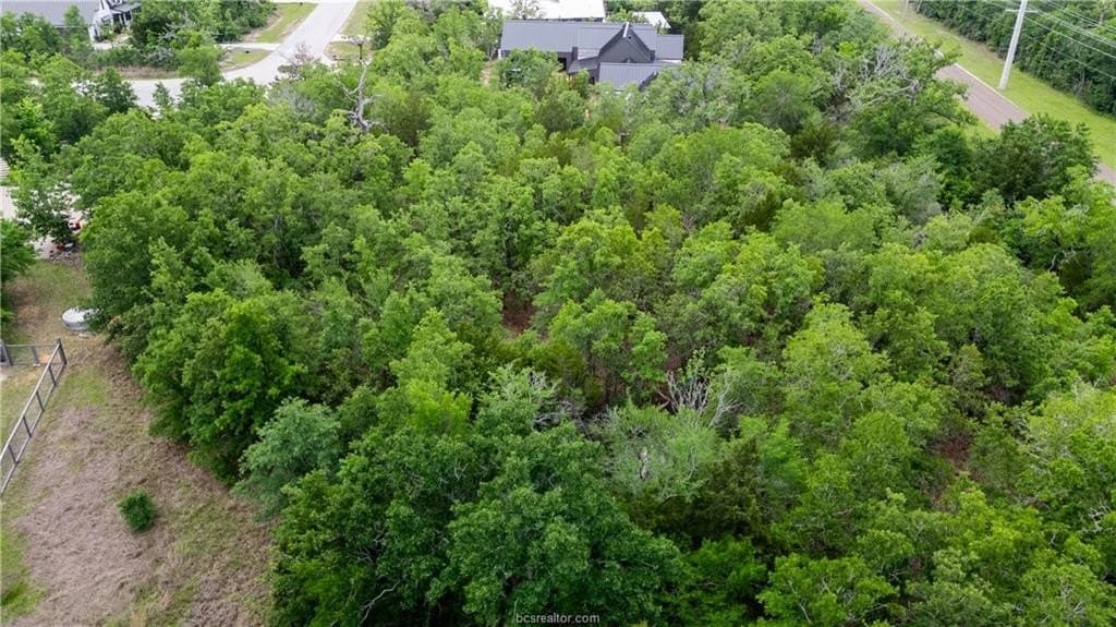 1.49 acres in Brazos County gallery image 3