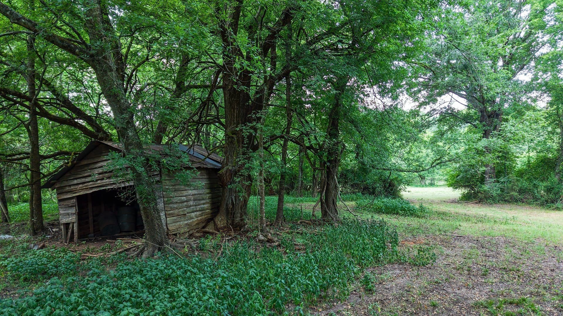 117 acres in Marion County - photo 21