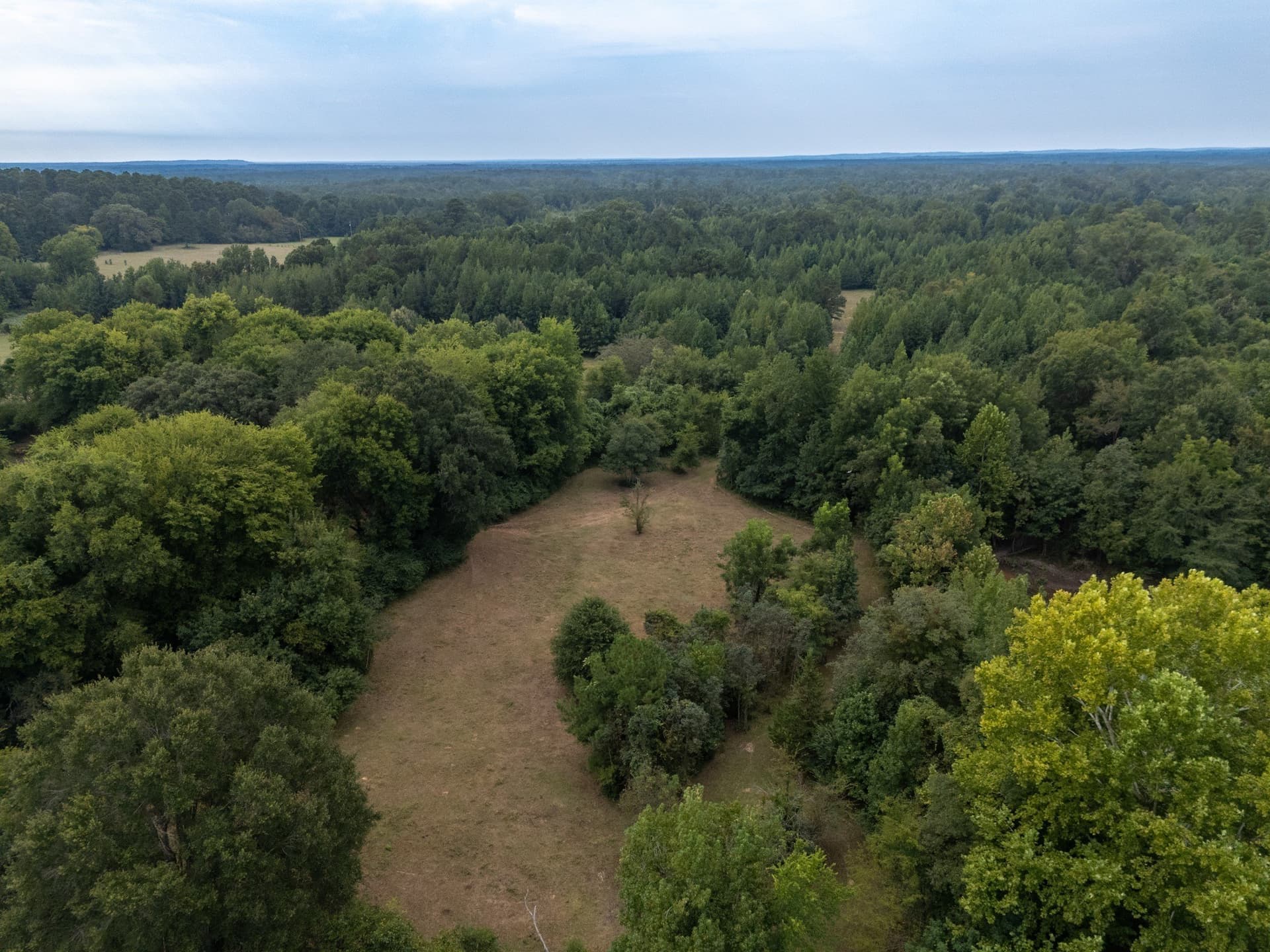 117 acres in Marion County featured view