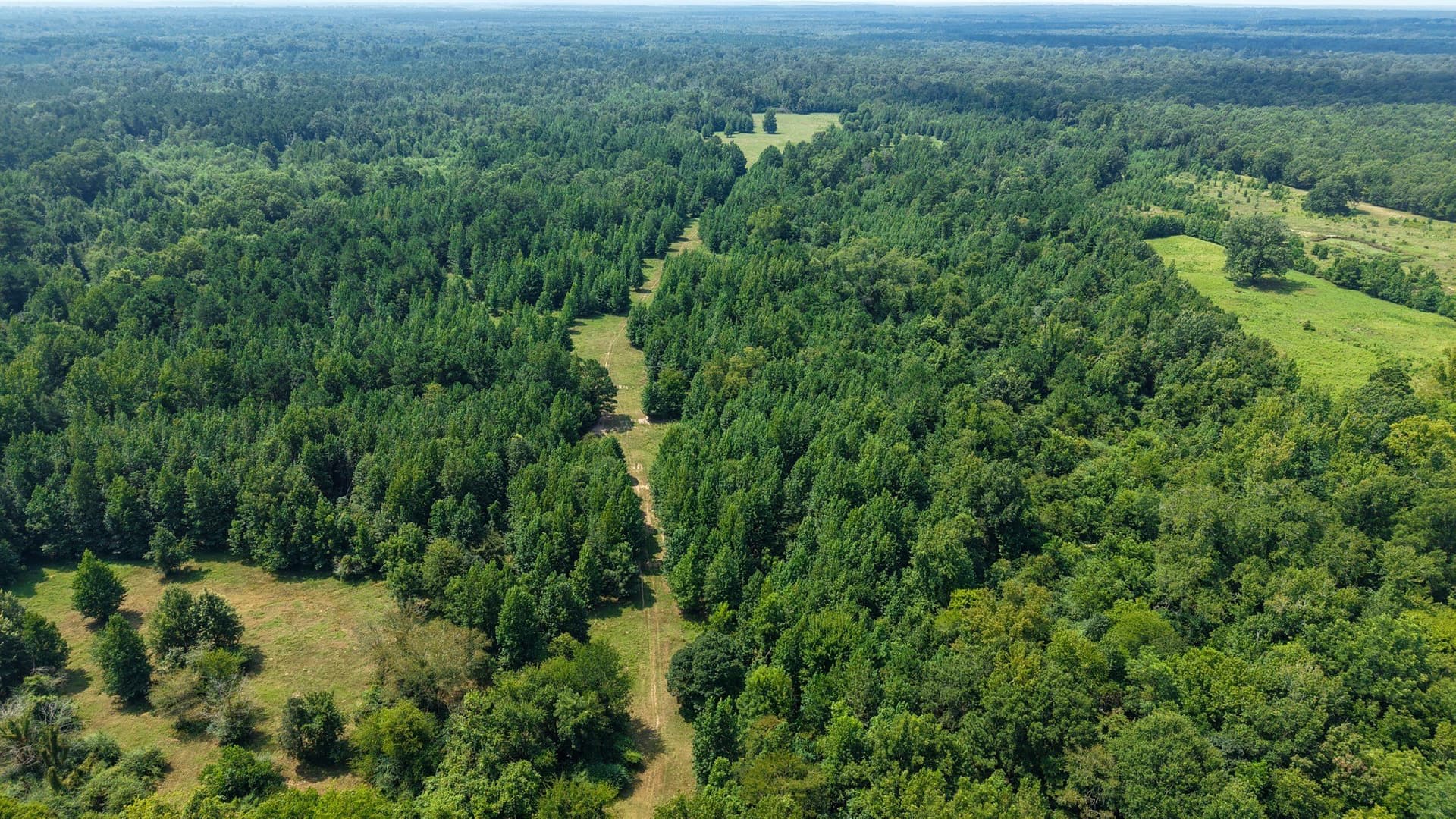 117 acres in Marion County - photo 19