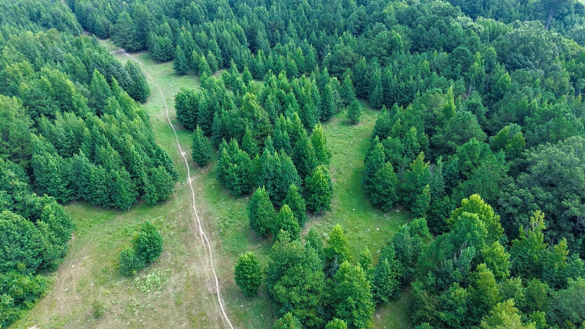 117 acres in Marion County - photo 18