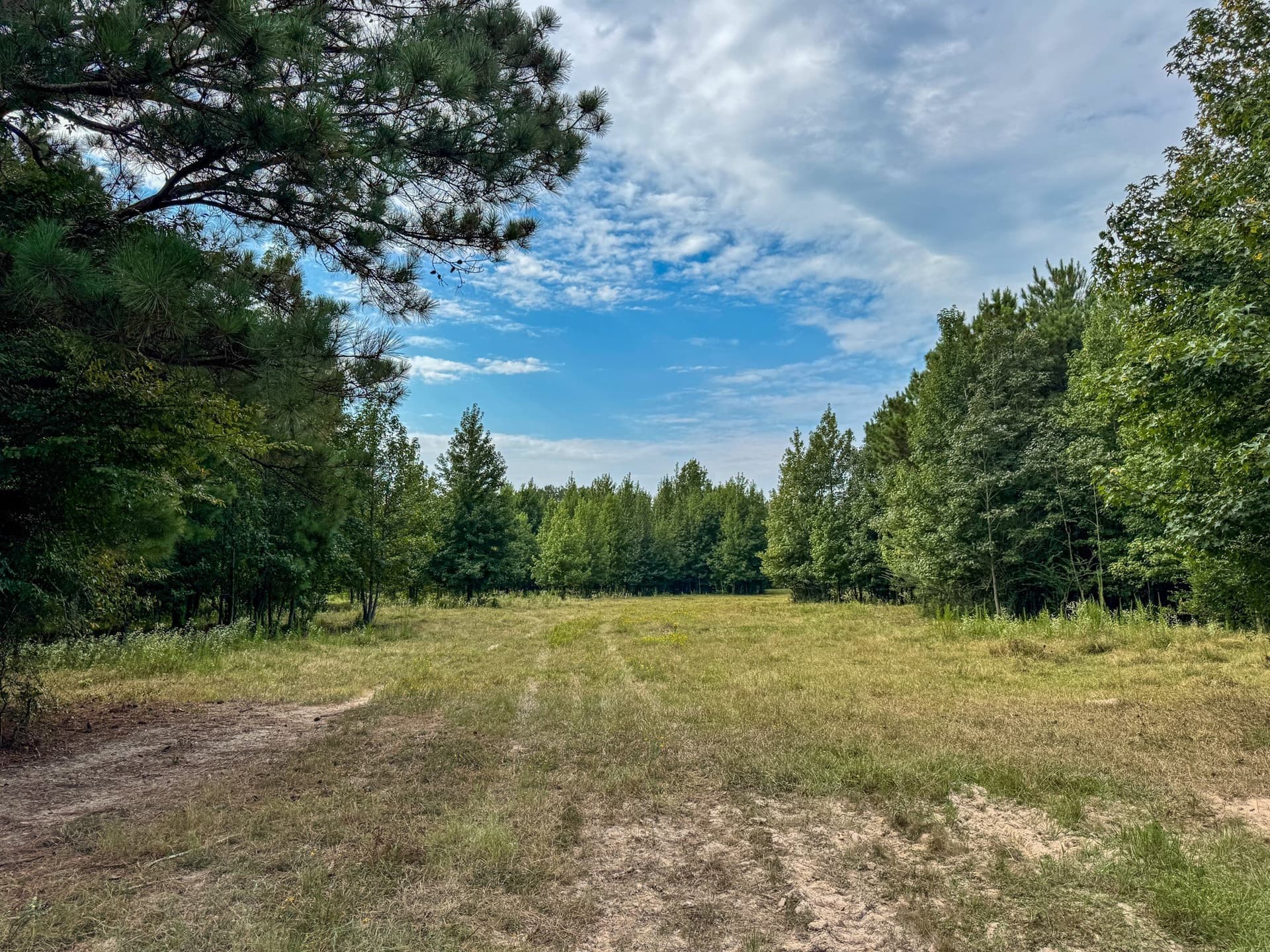 117 acres in Marion County - photo 14