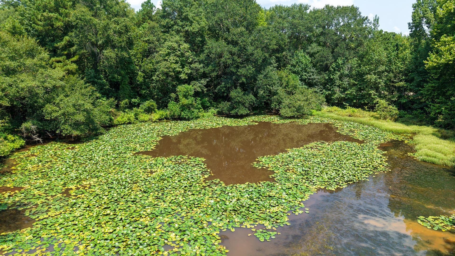 117 acres in Marion County - photo 20