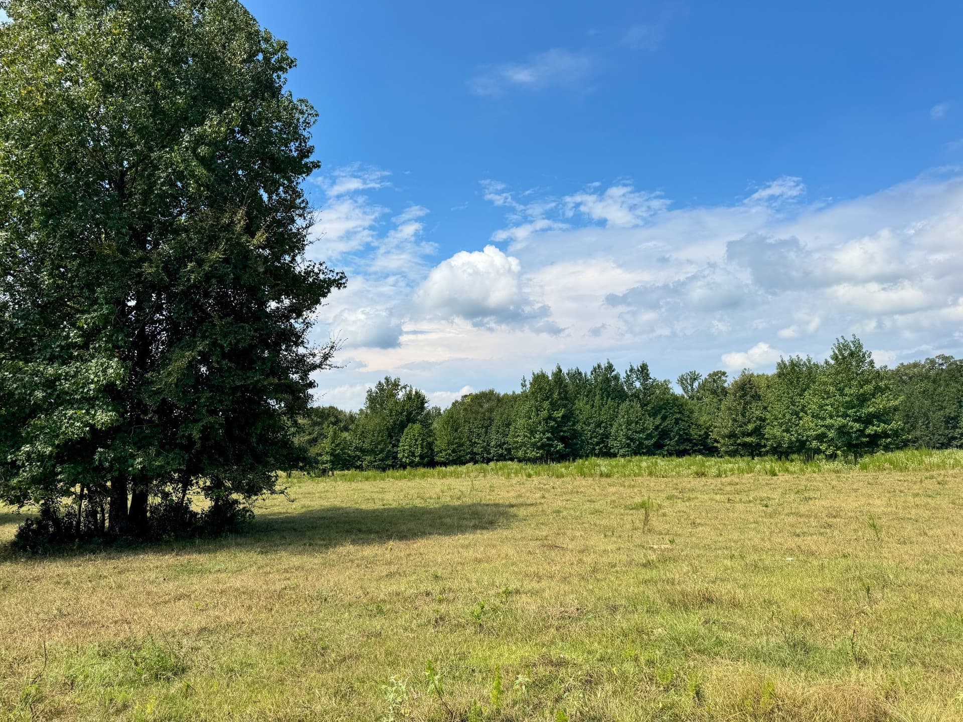 117 acres in Marion County - photo 26
