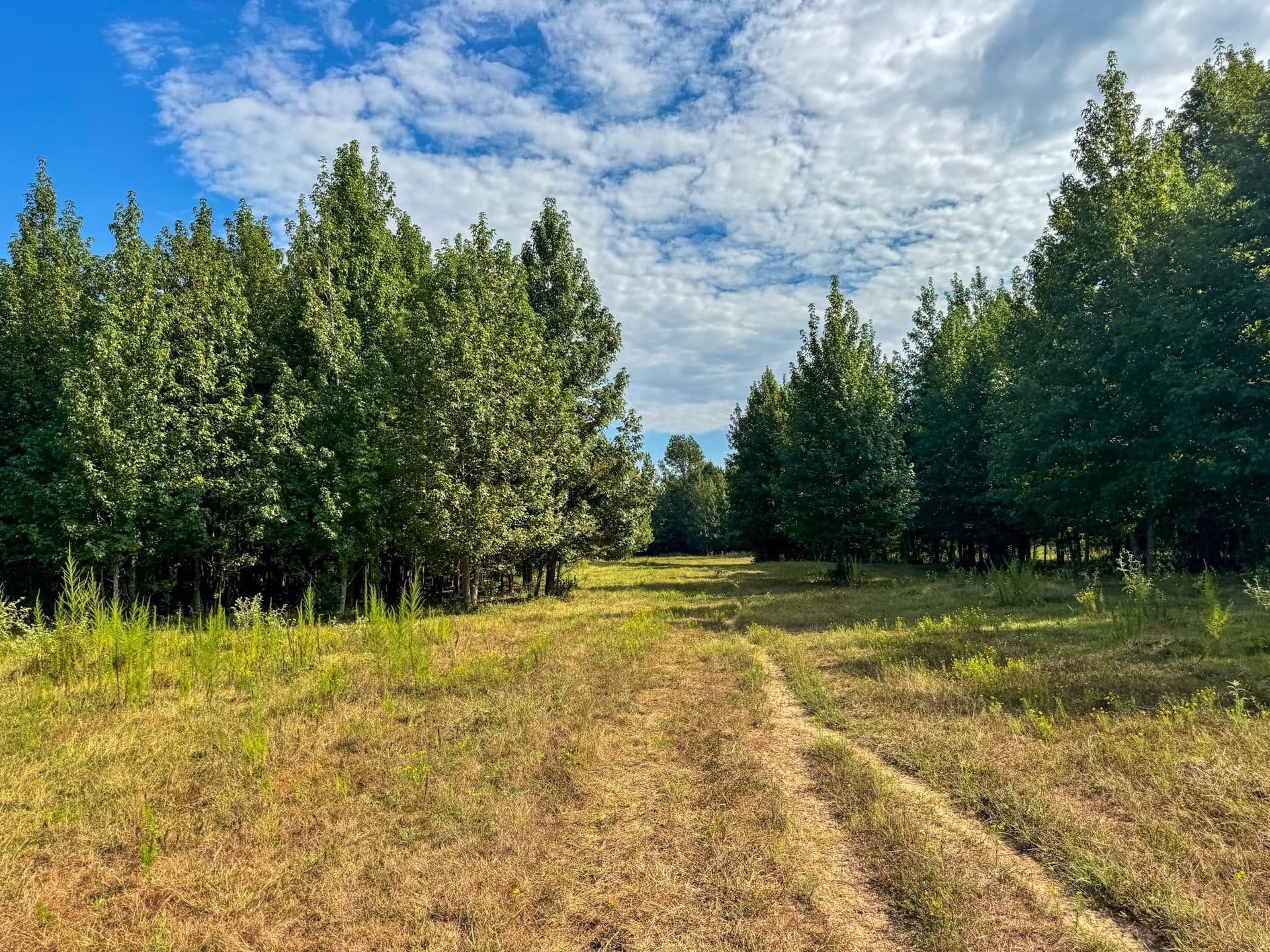 117 acres in Marion County