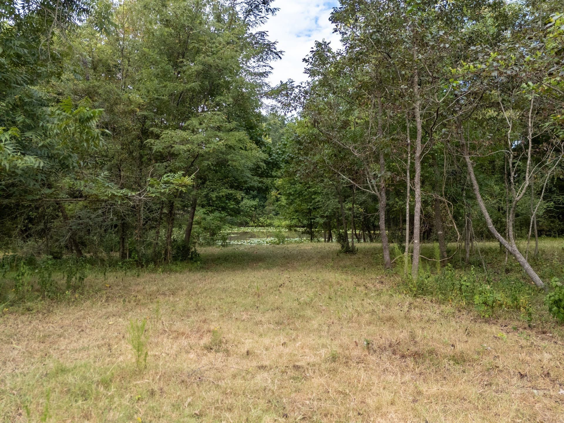 117 acres in Marion County - photo 8