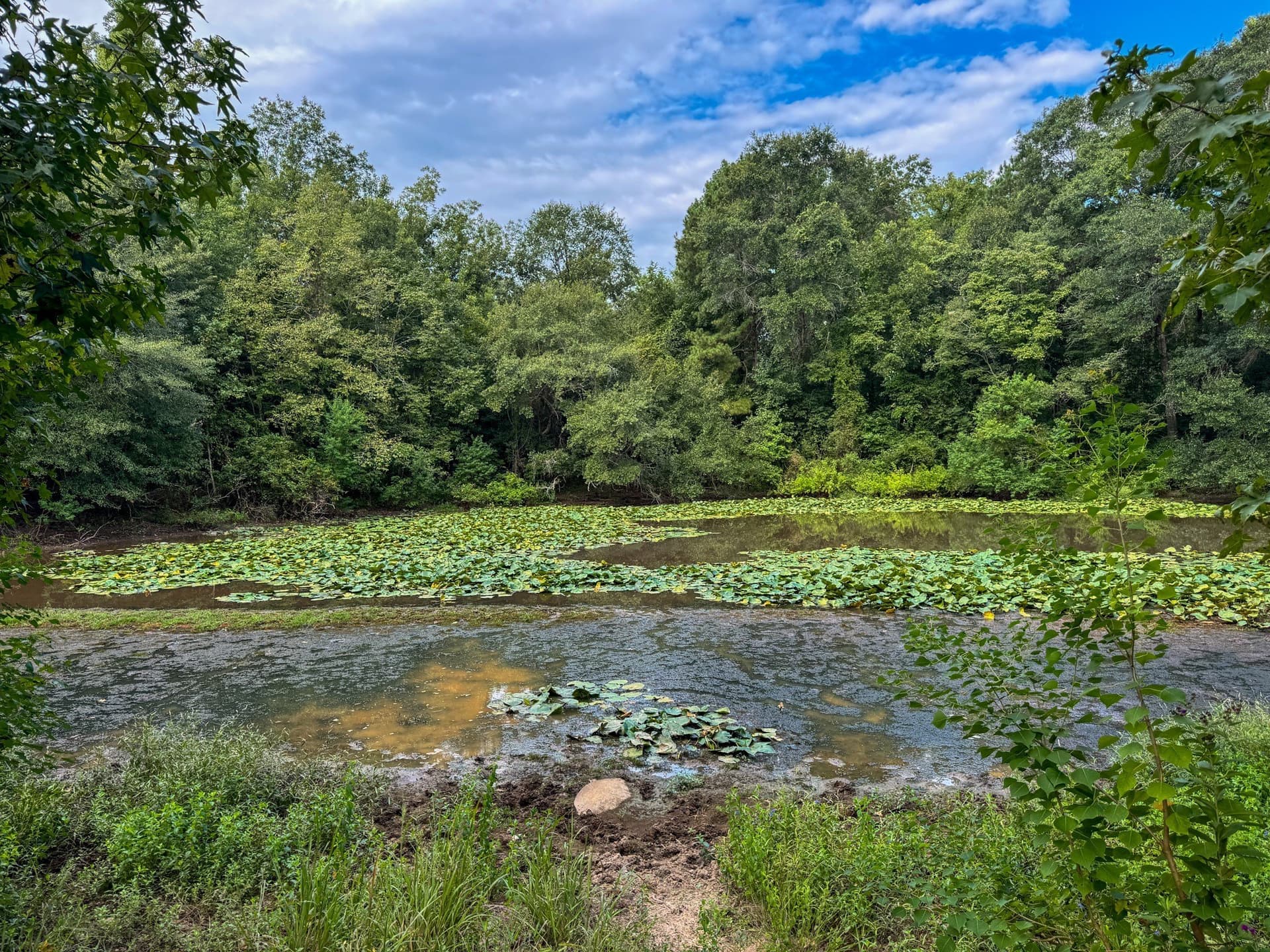 117 acres in Marion County - photo 12