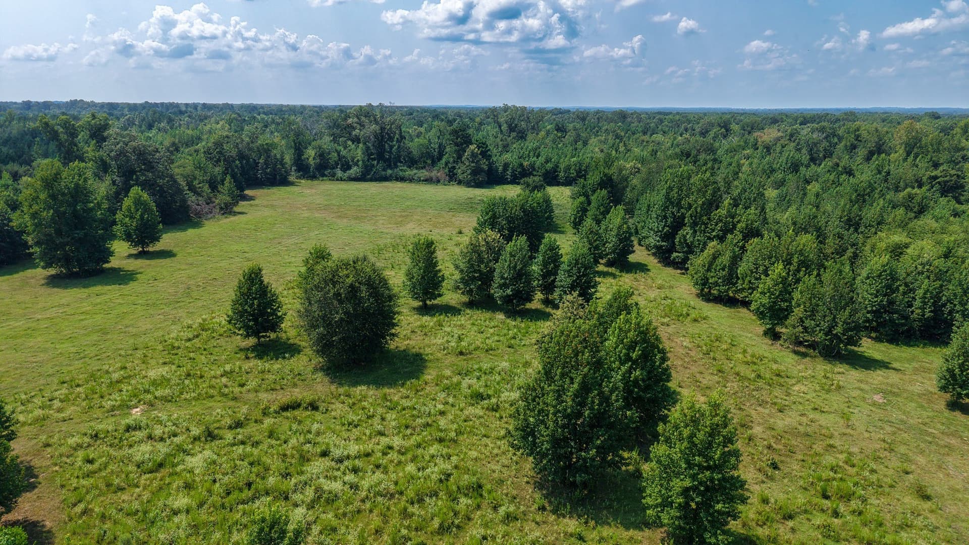 117 acres in Marion County - photo 16