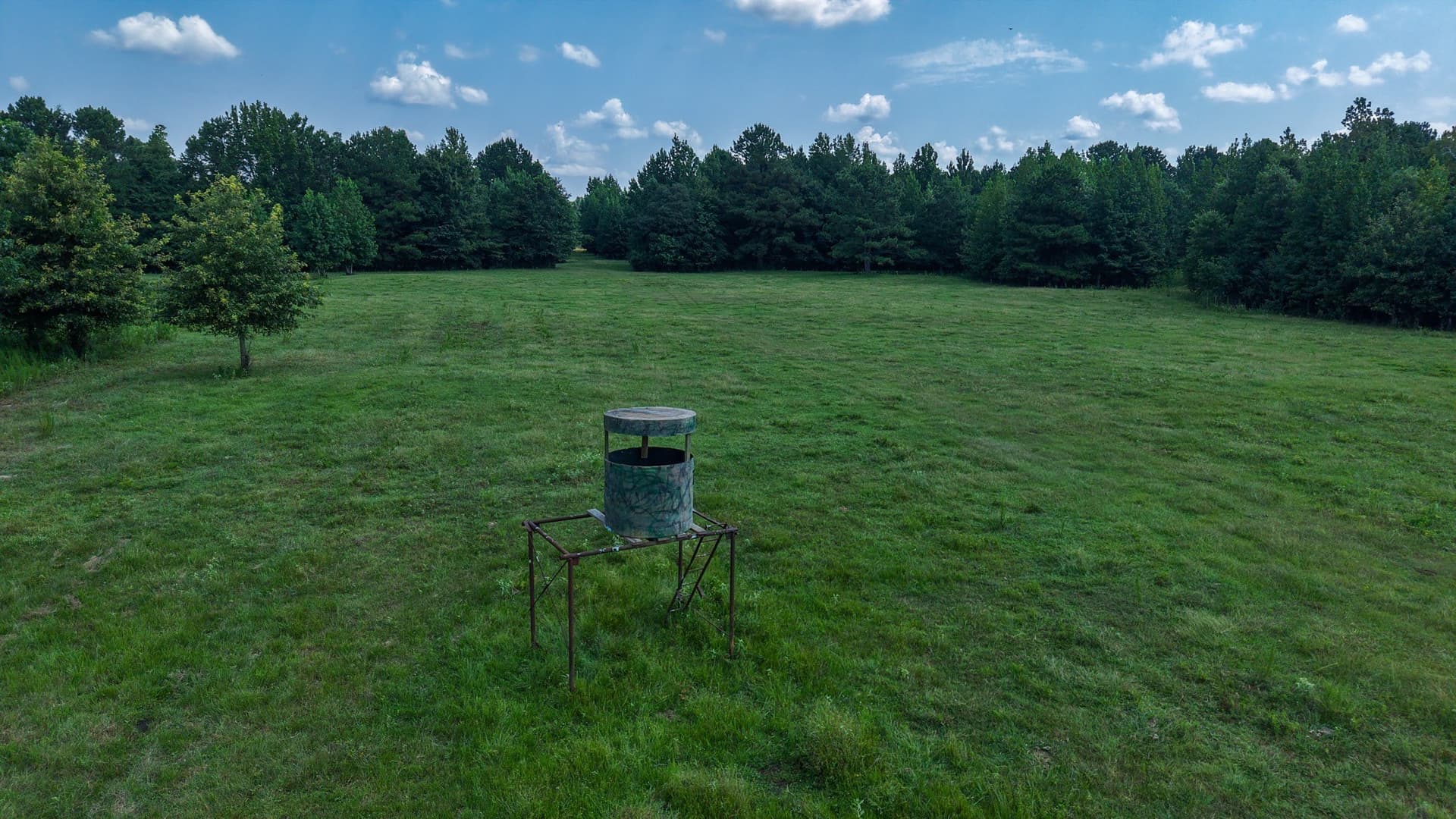 117 acres in Marion County - photo 22