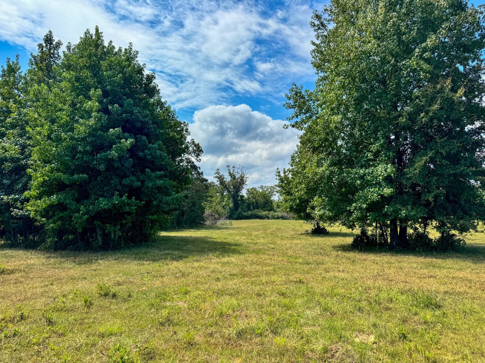 117 acres in Marion County - photo 25