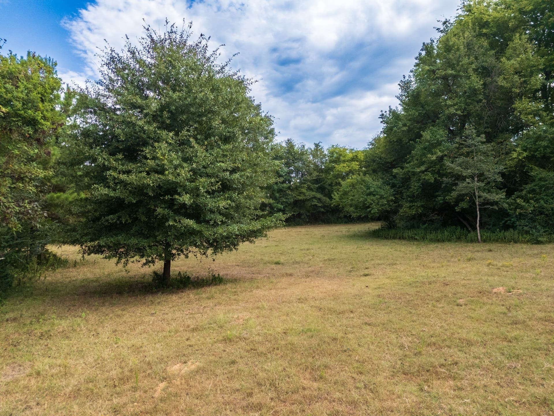 117 acres in Marion County - photo 7