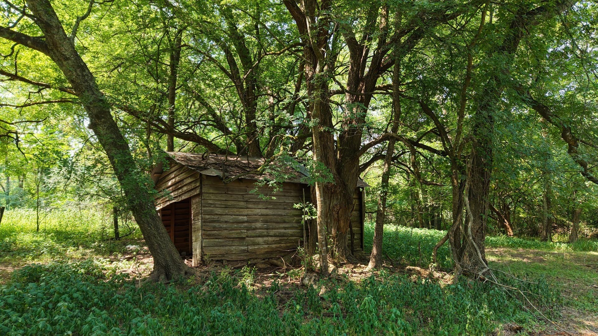 117 acres in Marion County - photo 17