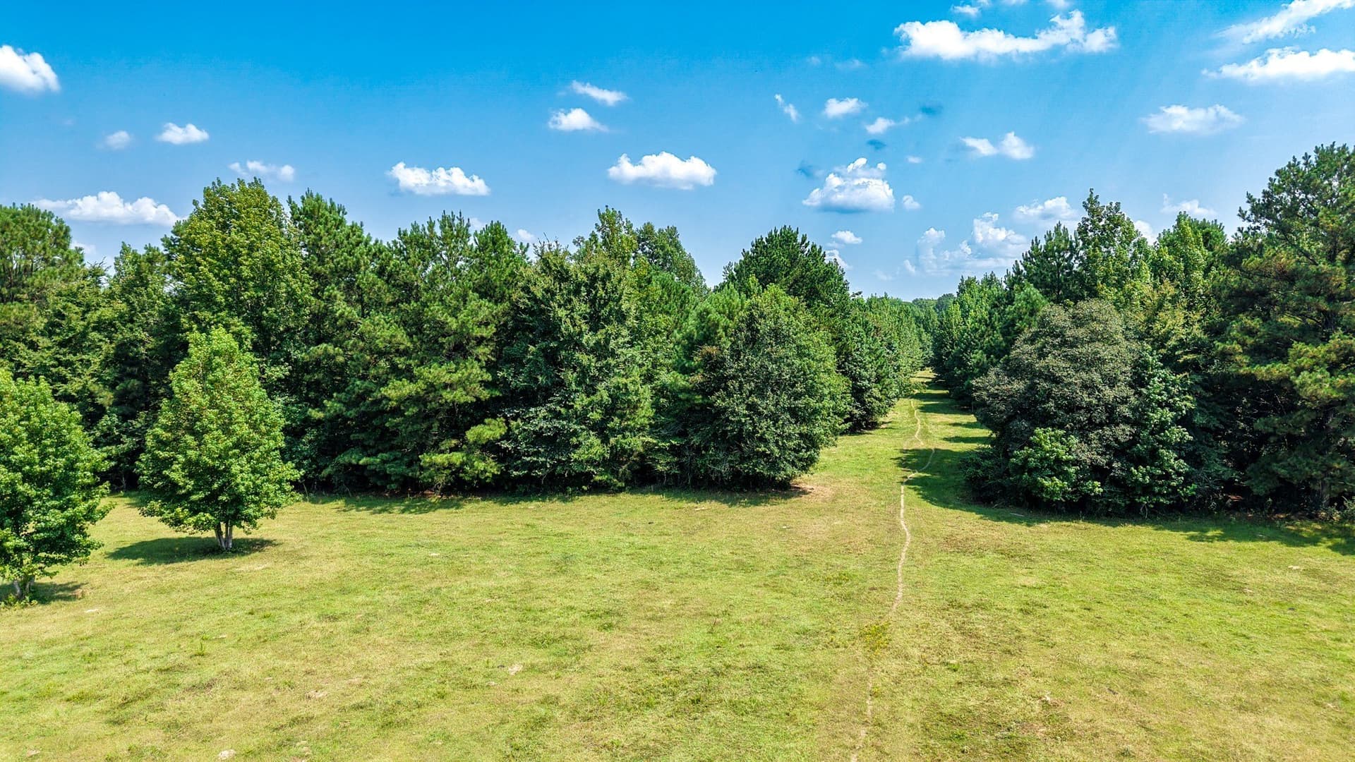 117 acres in Marion County - photo 23
