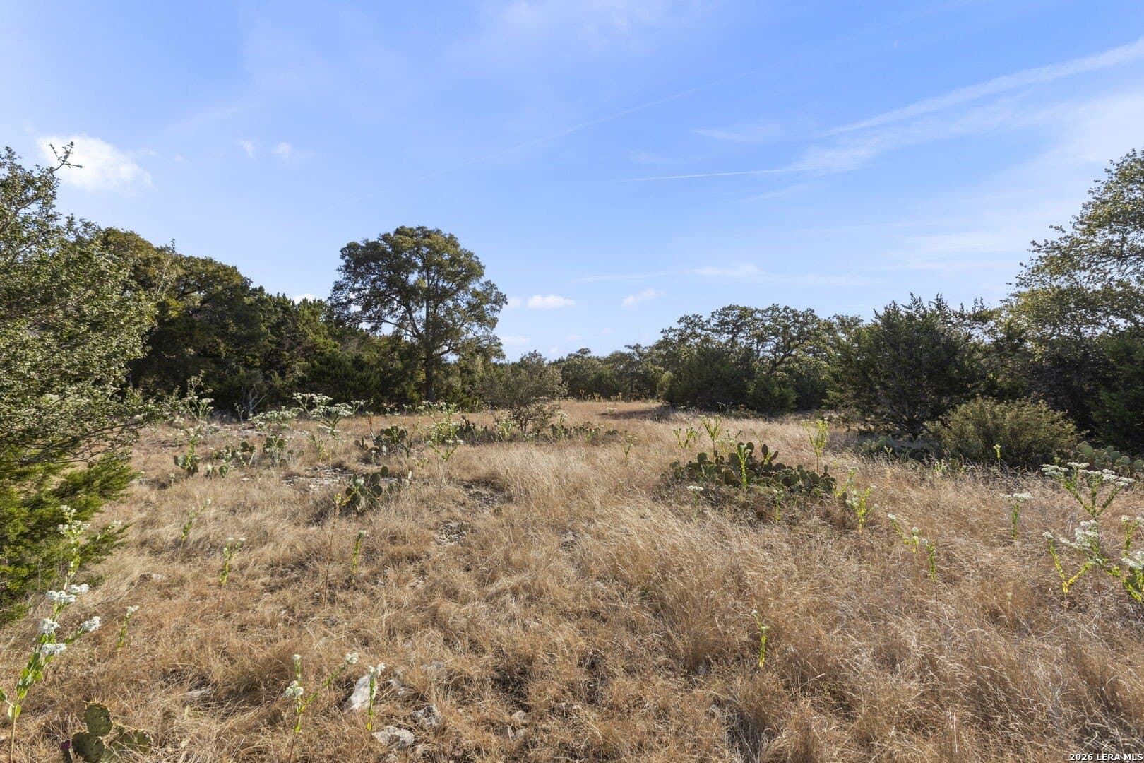4.88 acres in Kendall County - photo 2
