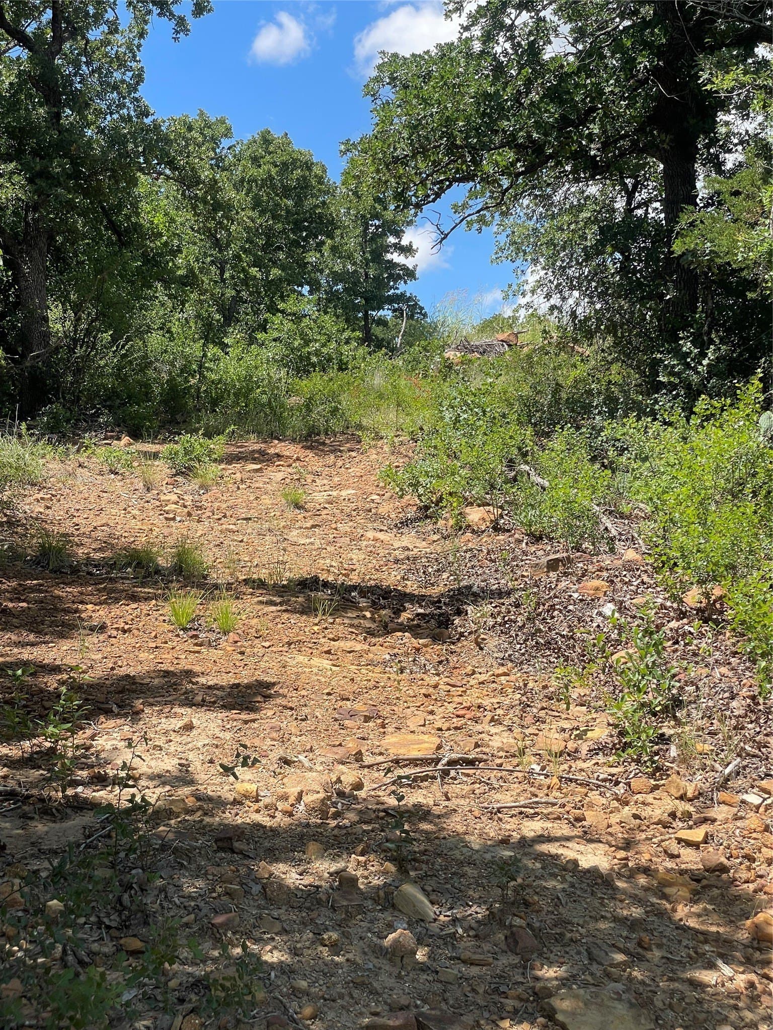 15.78 acres in Young County - photo 8