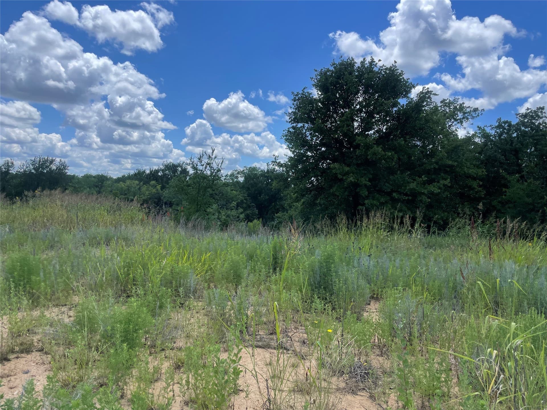 15.78 acres in Young County - photo 29