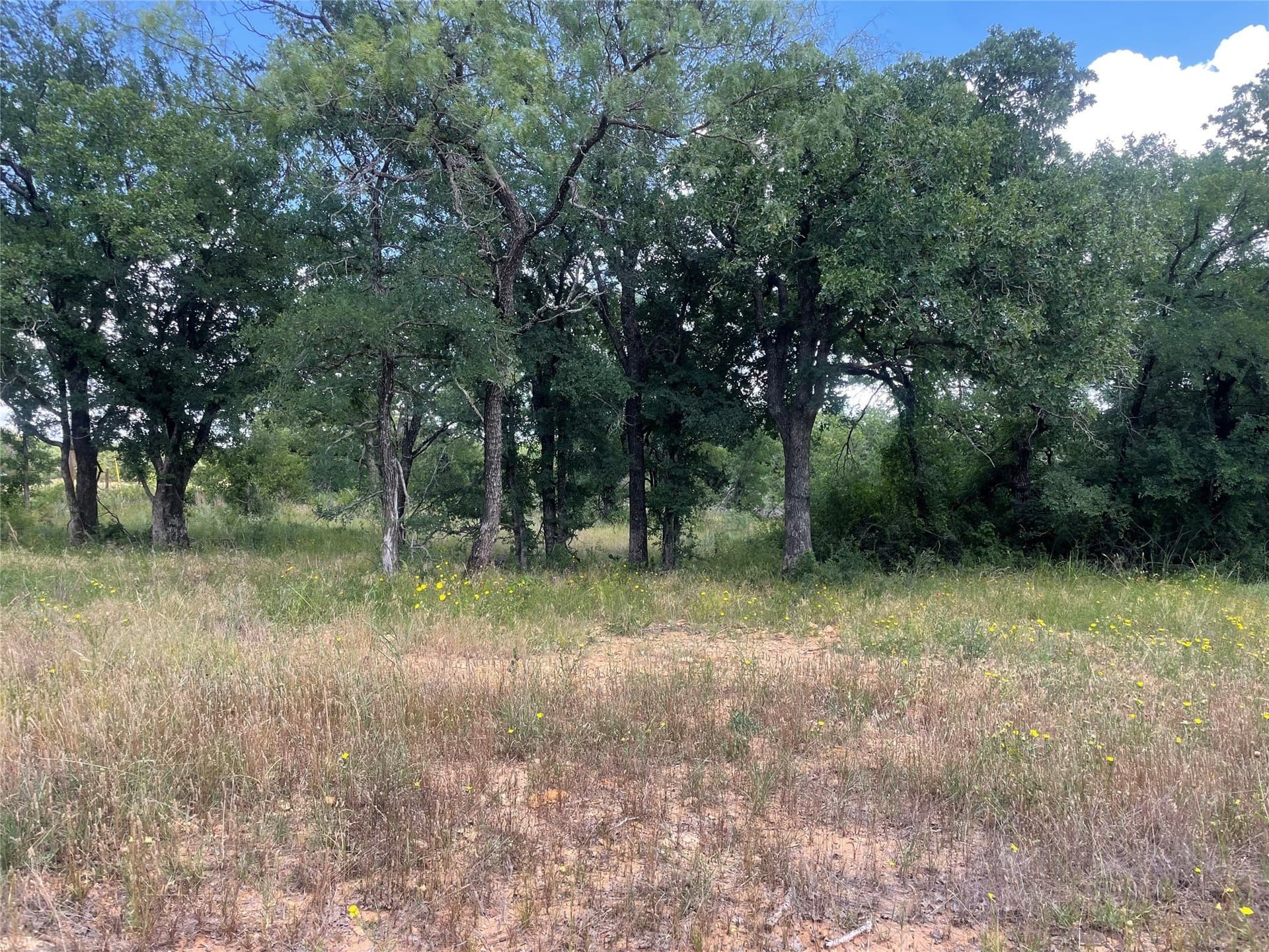 15.78 acres in Young County - photo 27