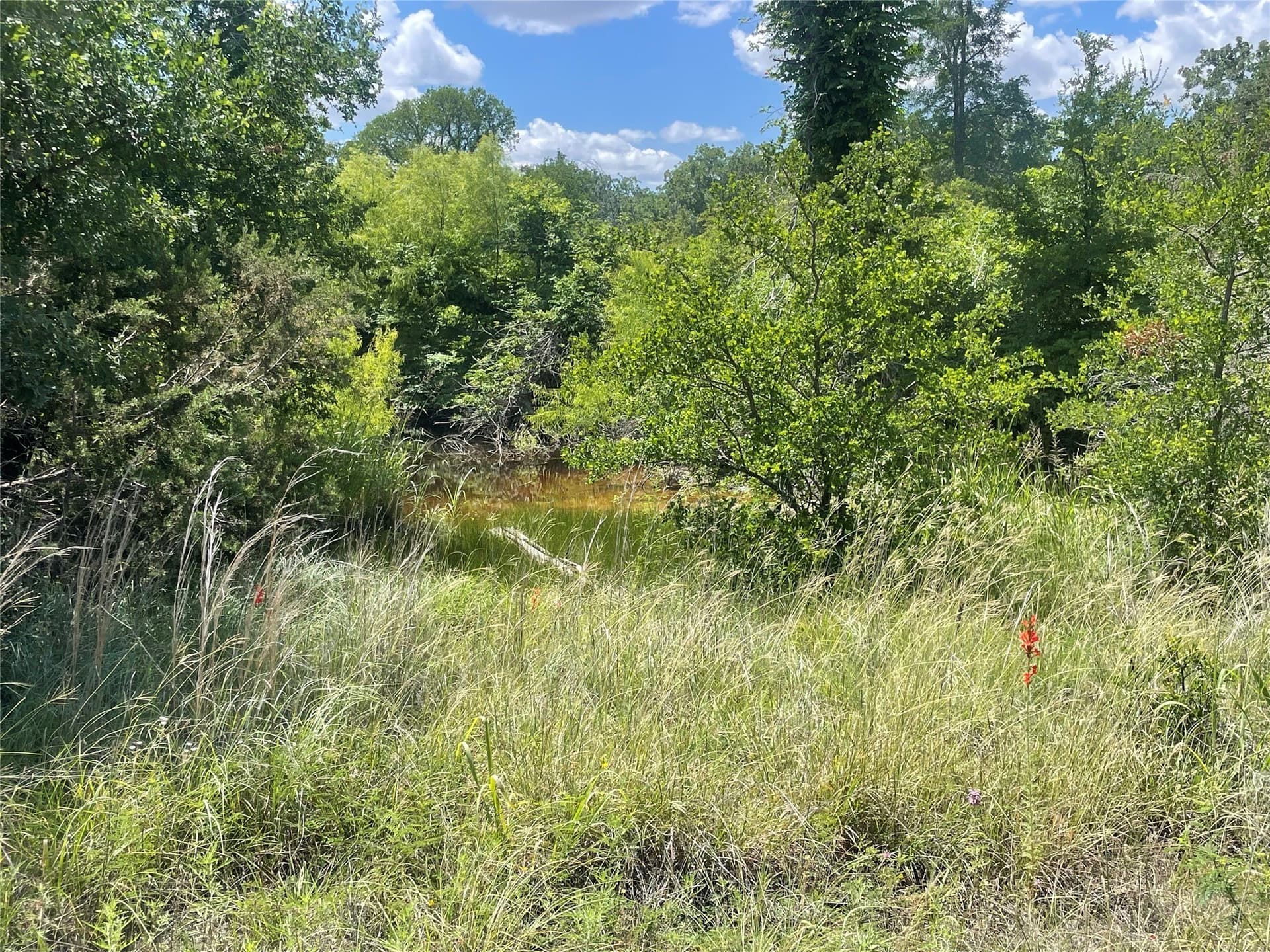 15.78 acres in Young County - photo 33