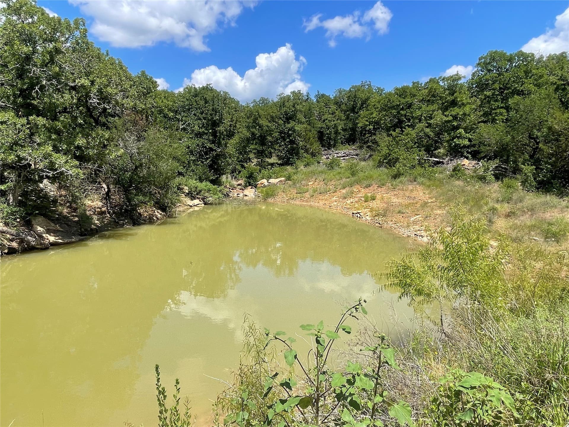 15.78 acres in Young County - photo 5