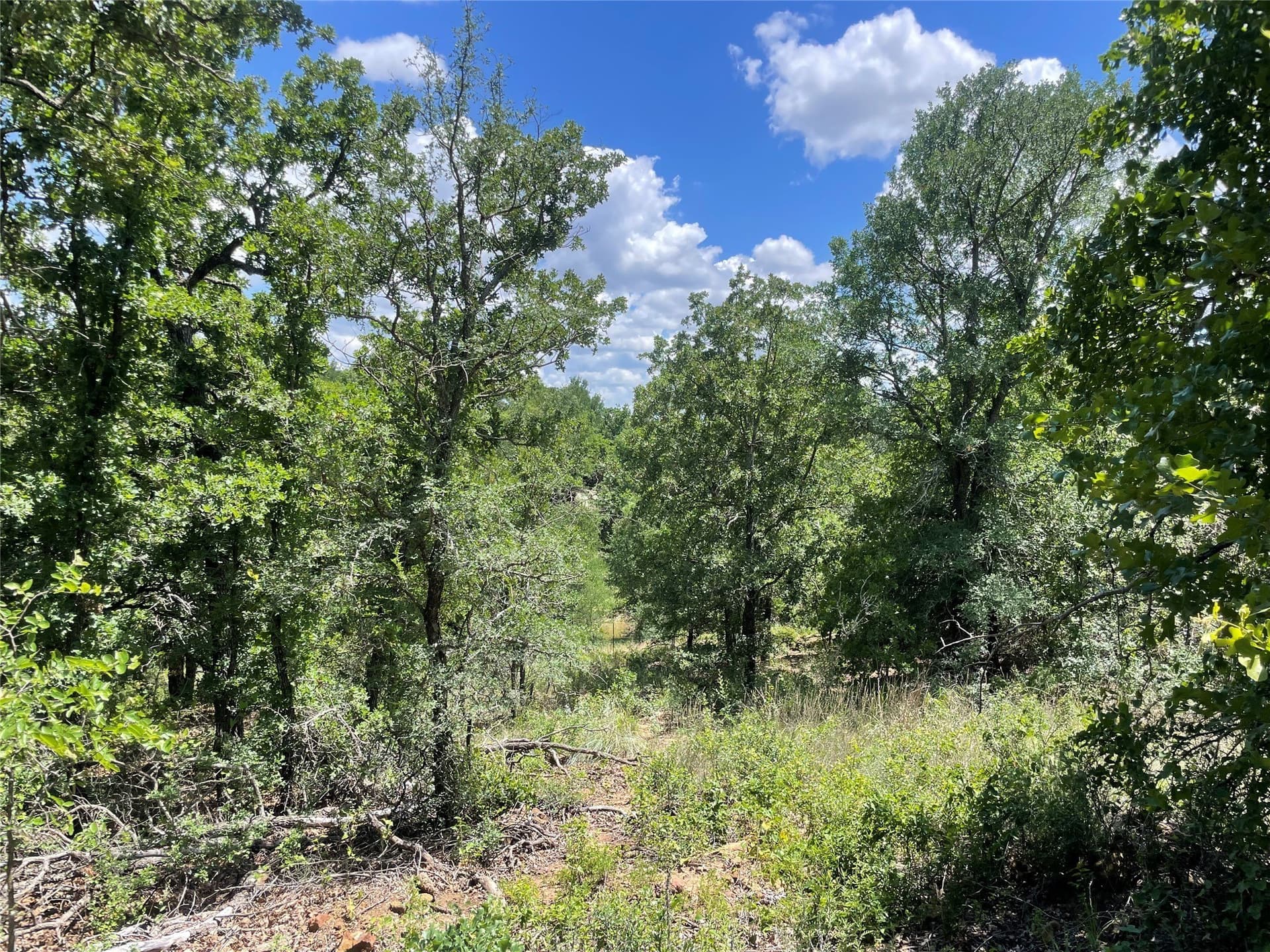 15.78 acres in Young County - photo 6