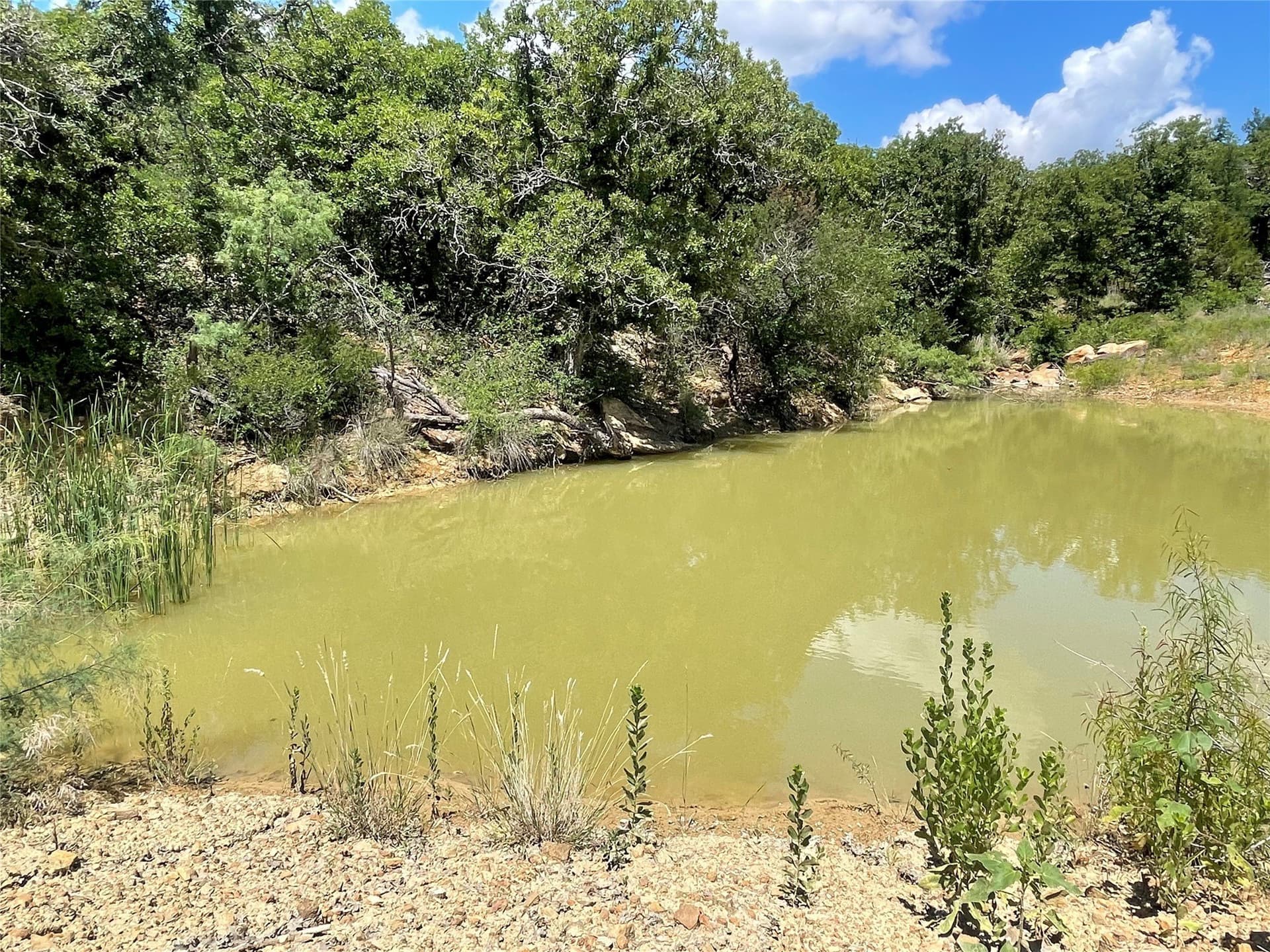 15.78 acres in Young County - photo 4