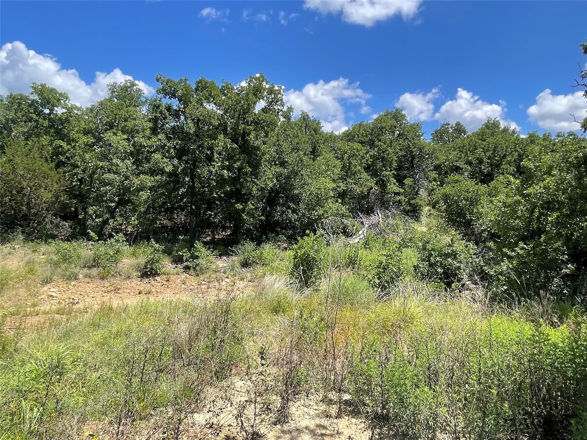15.78 acres in Young County - photo 25