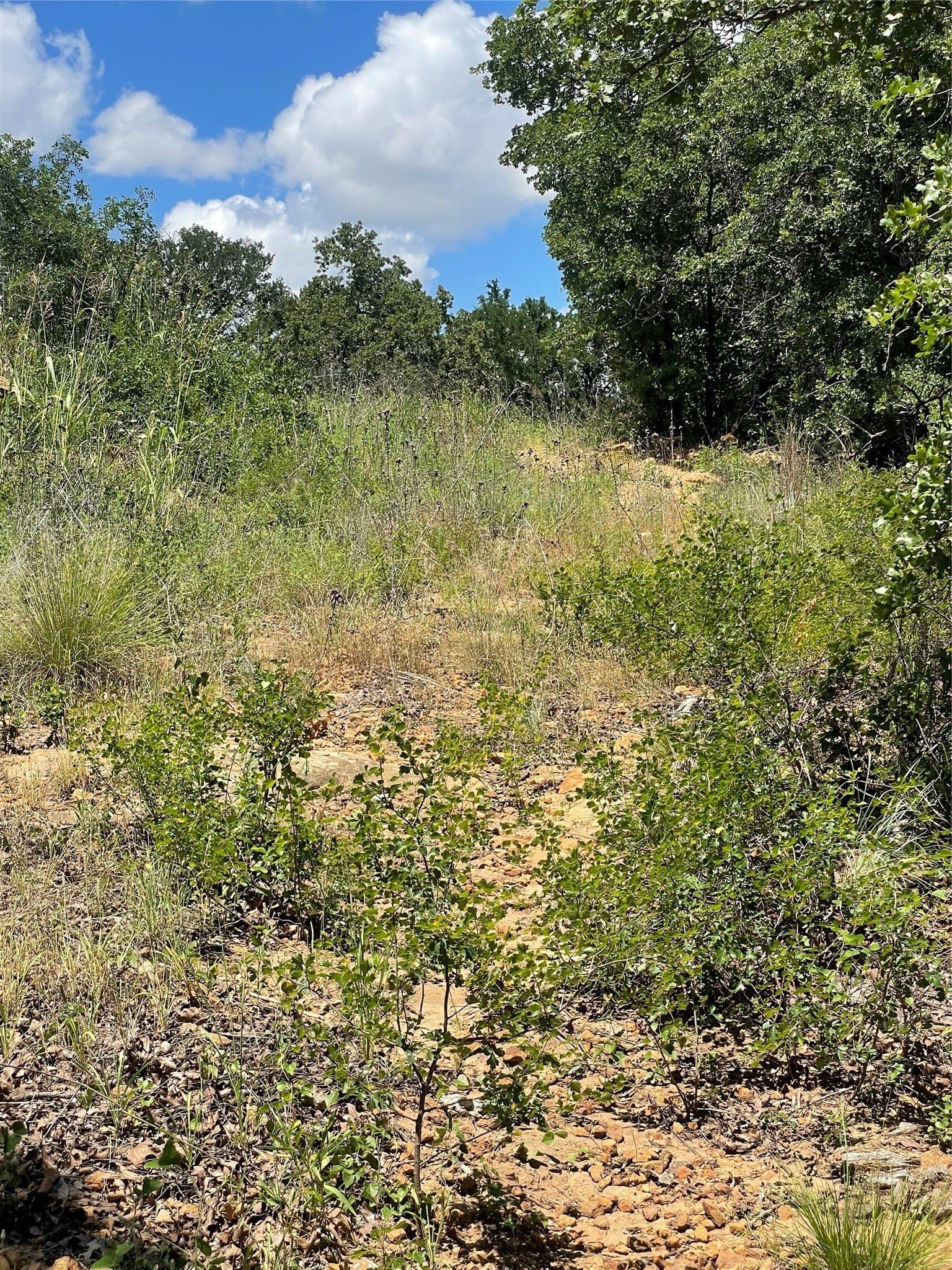 15.78 acres in Young County - photo 31
