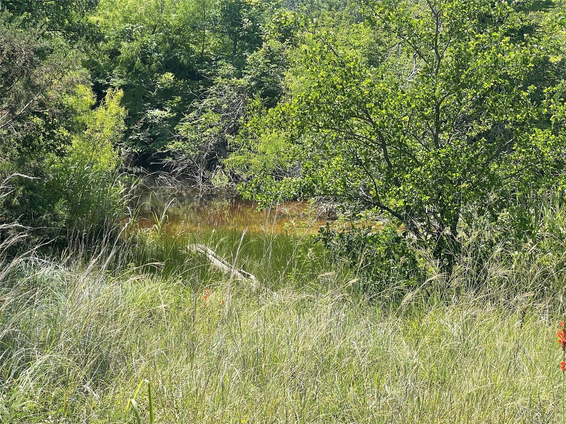 15.78 acres in Young County - photo 32