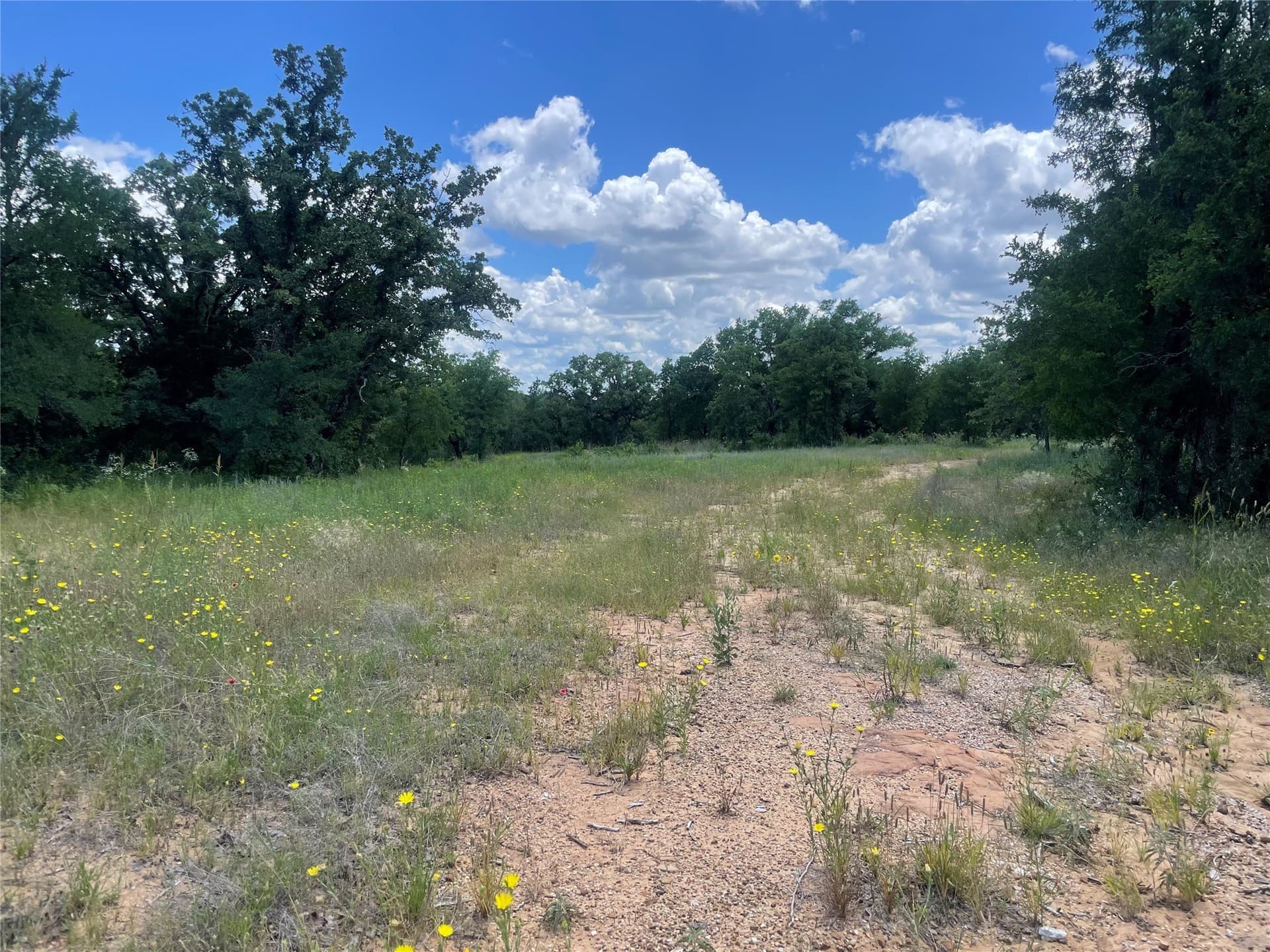 15.78 acres in Young County - photo 9
