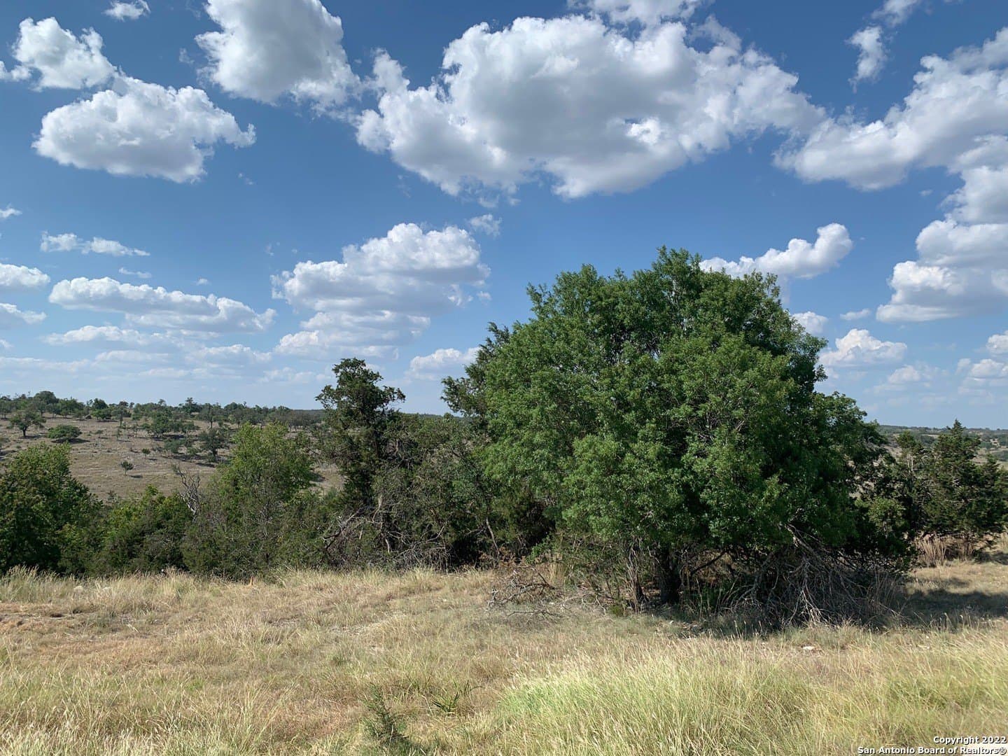 6.57 acres in Gillespie County - photo 9