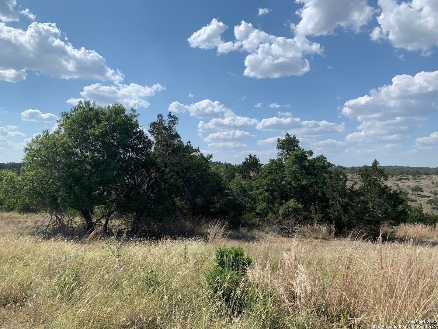 6.57 acres in Gillespie County - photo 6