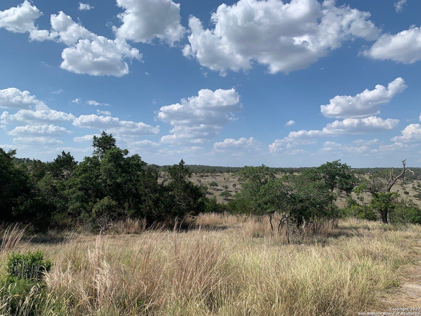 6.57 acres in Gillespie County - photo 12