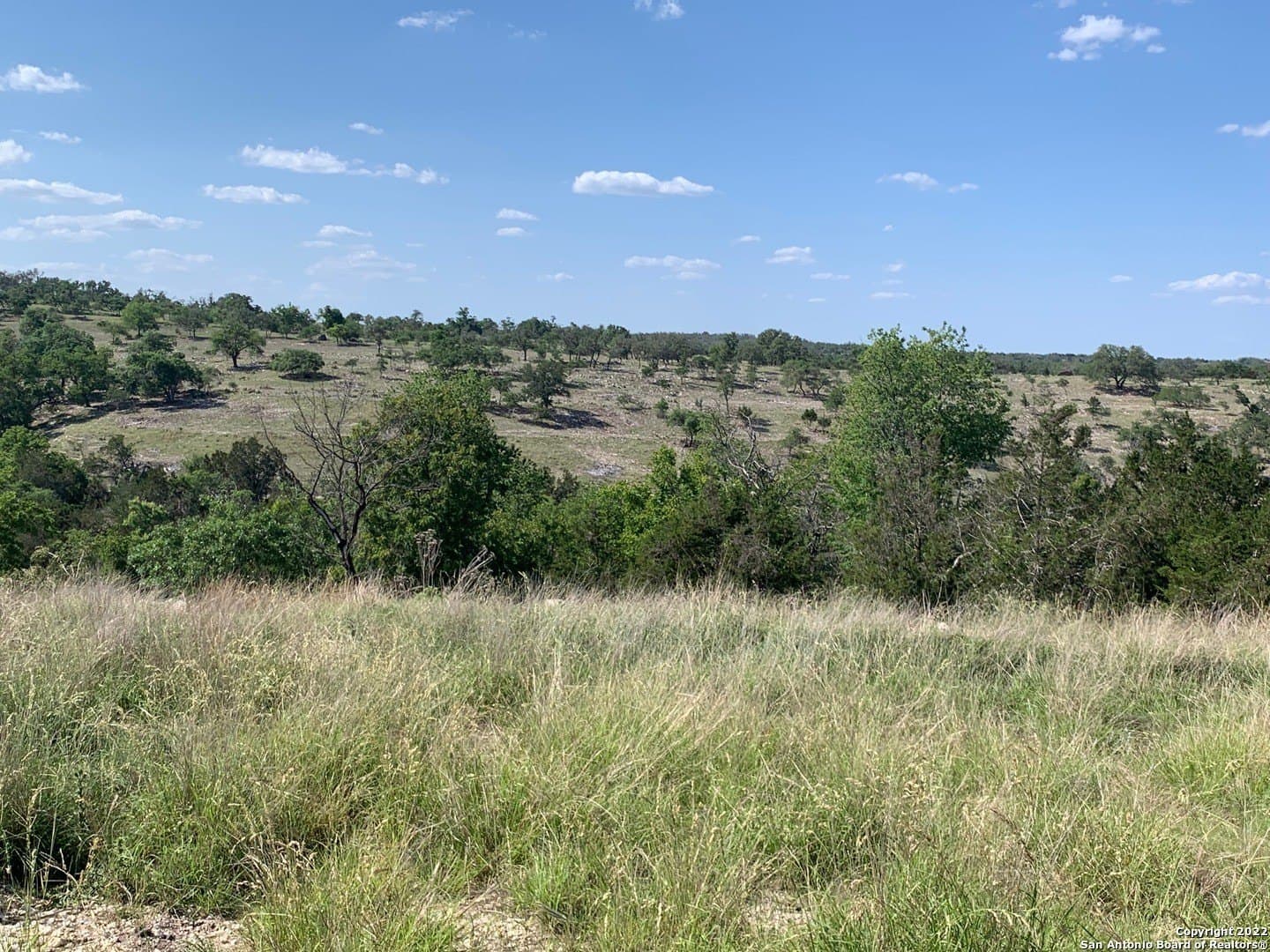 6.57 acres in Gillespie County - photo 8
