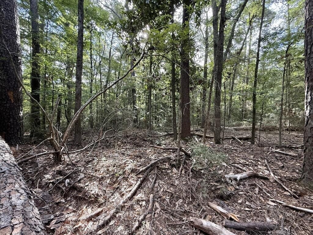 0.25 acres in Texas County - photo 5
