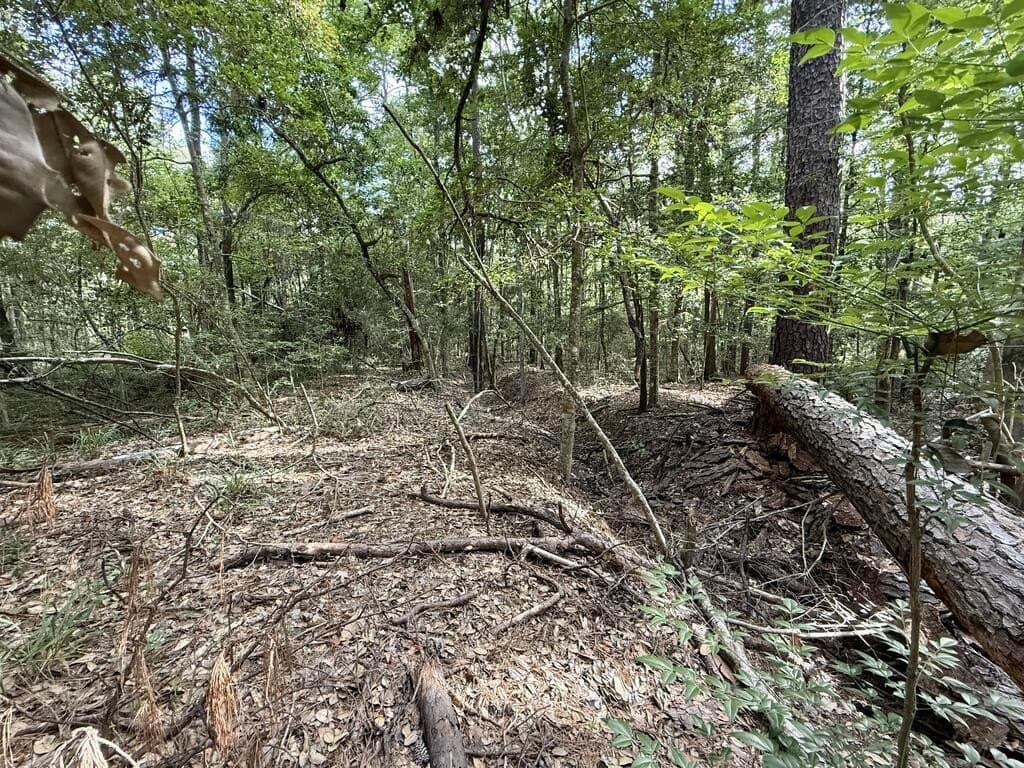 0.25 acres in Texas County - photo 4