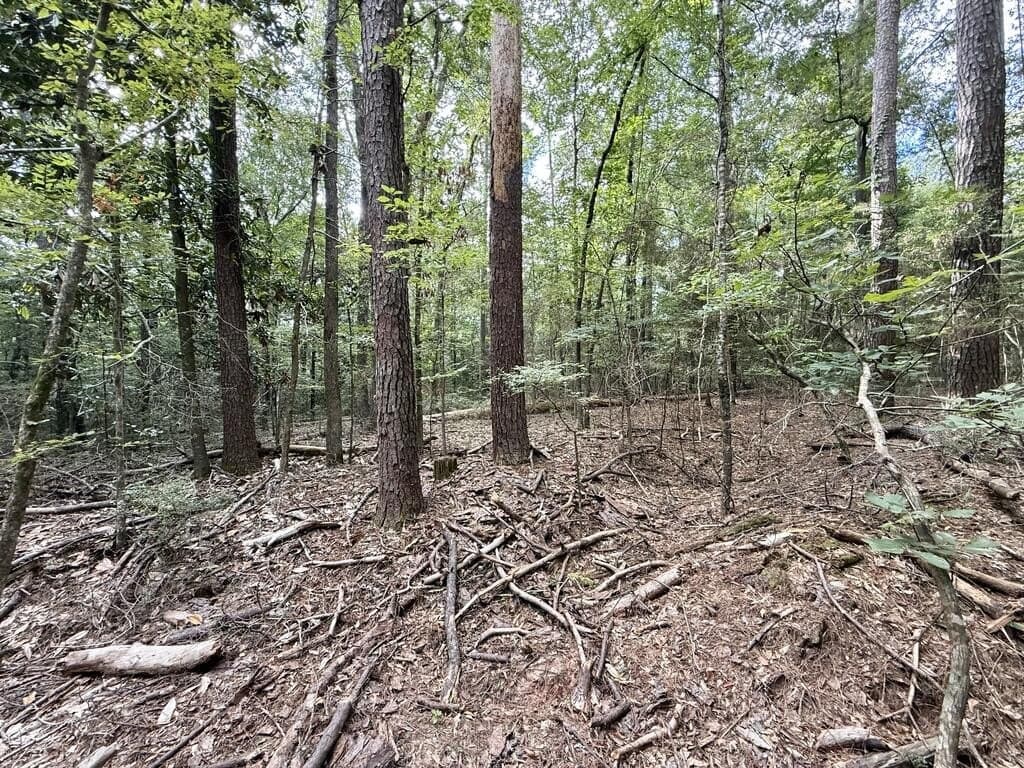 0.25 acres in Texas County - photo 3