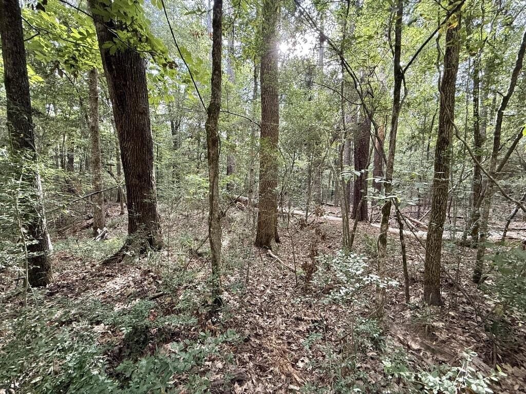 0.25 acres in Texas County - photo 2