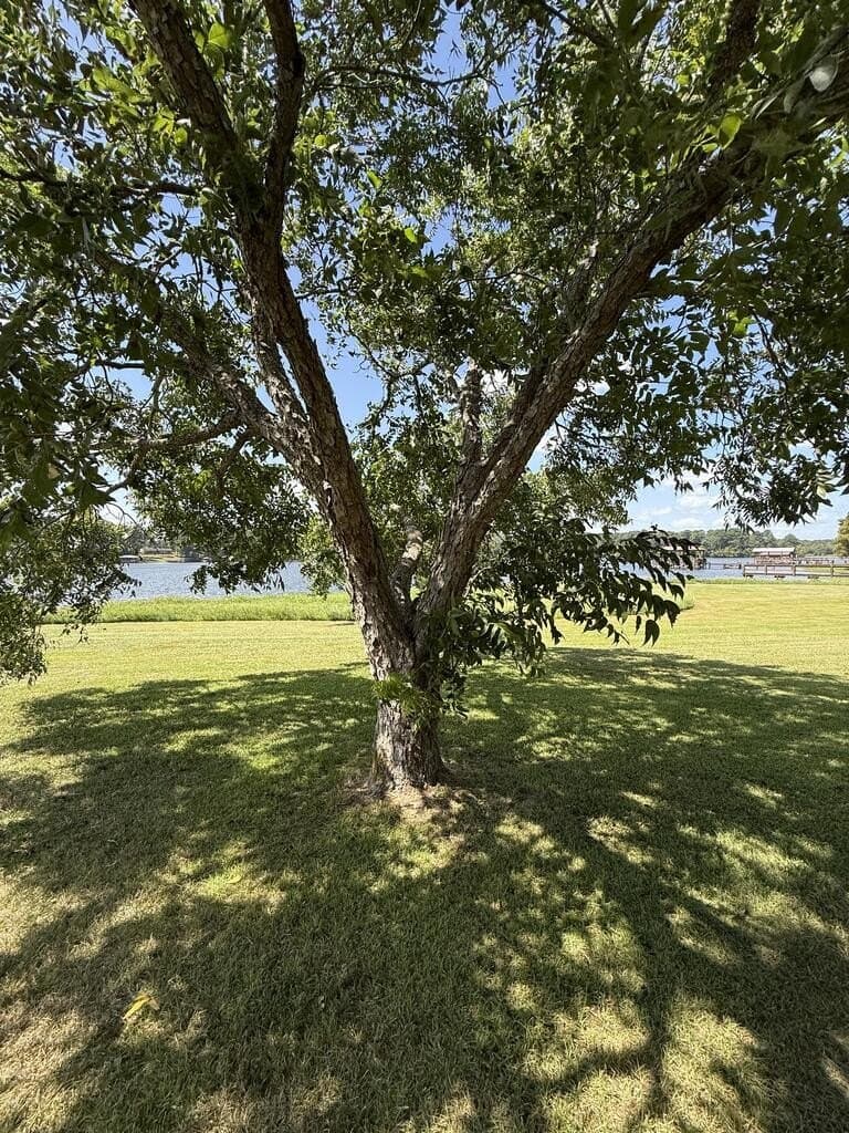 0.25 acres in Texas County - photo 11