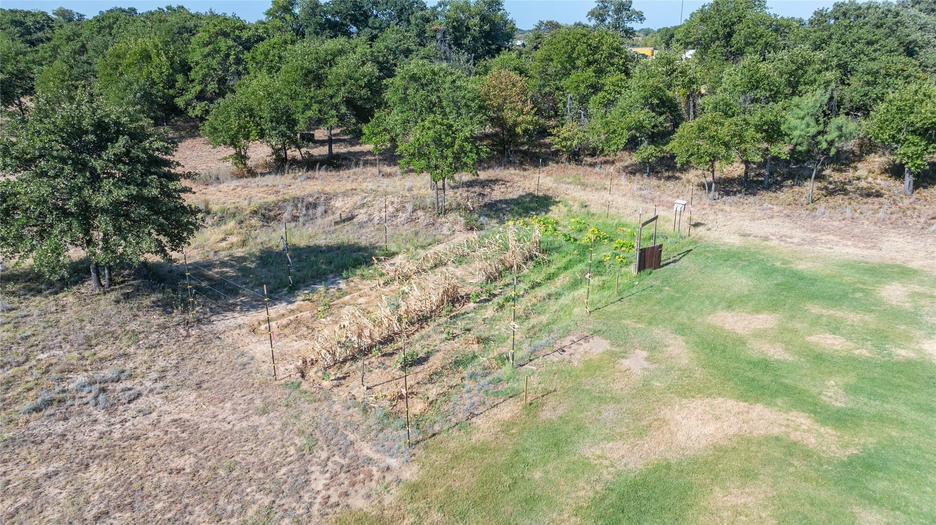 16.51 acres in Callahan County - photo 29