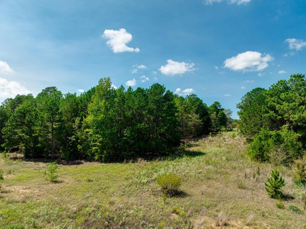 5.49 acres in SMITH County - photo 11