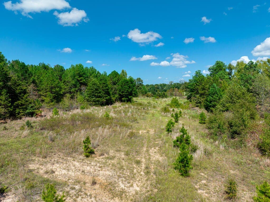 5.49 acres in SMITH County - photo 10
