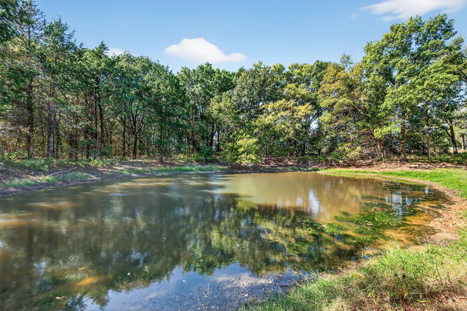 20 acres in Grayson County - photo 9