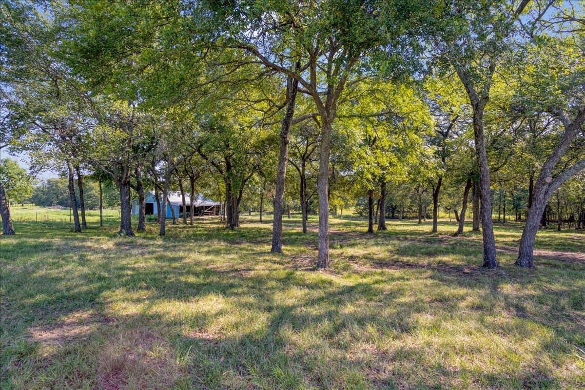 2 acres in Grayson County - photo 6