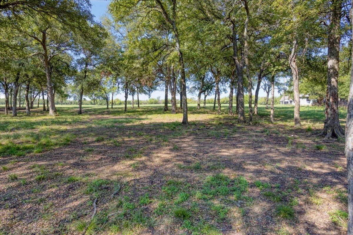 2 acres in Grayson County - photo 8